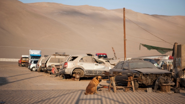 Madre de niño abandonado en Arica arriesga hasta cinco años de cárcel