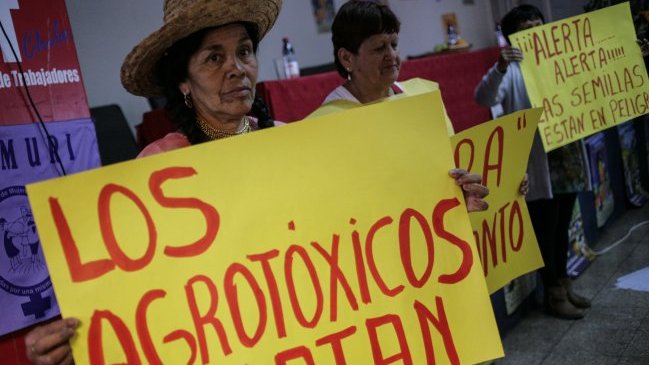 Monsanto fue condenado en Francia por la intoxicación de un agricultor