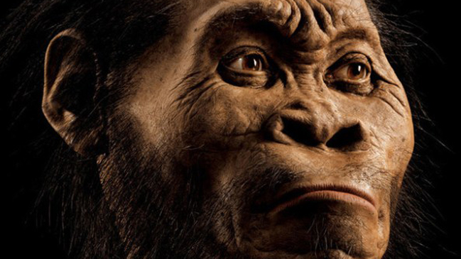  Descubren nueva especie en la historia evolutiva del hombre  
