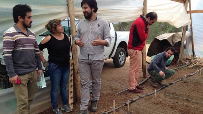 Innovadora App alerta a agricultores cuando sus plantas necesitan agua o fertilizante