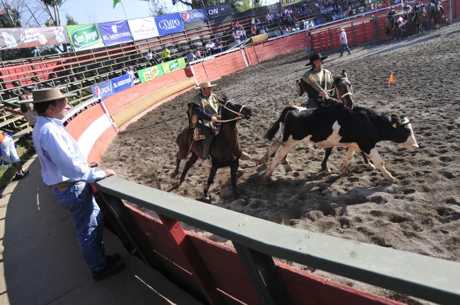 Imagen foto_00000017