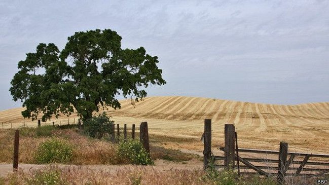 Imagen foto_00000005