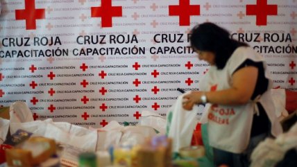 Dónde y cómo ayudar a los damnificados del terremoto