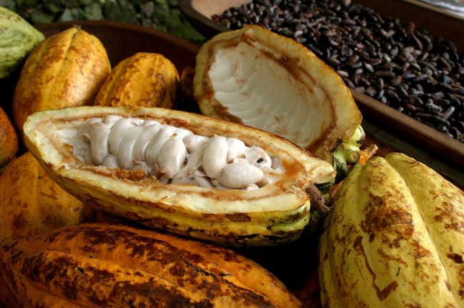 Imagen foto_00000005