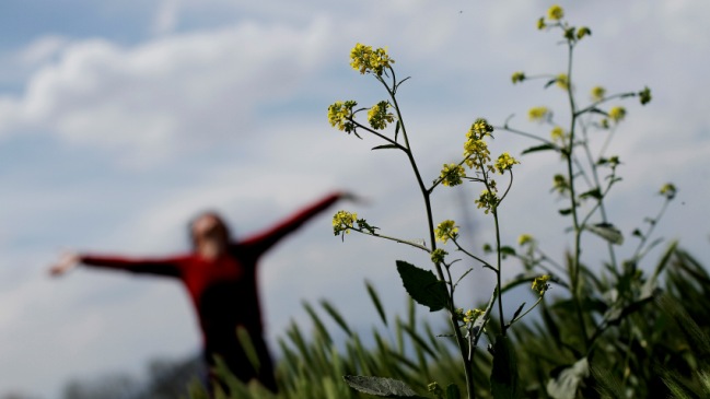 No fue el 21: Este miércoles comenzó la primavera