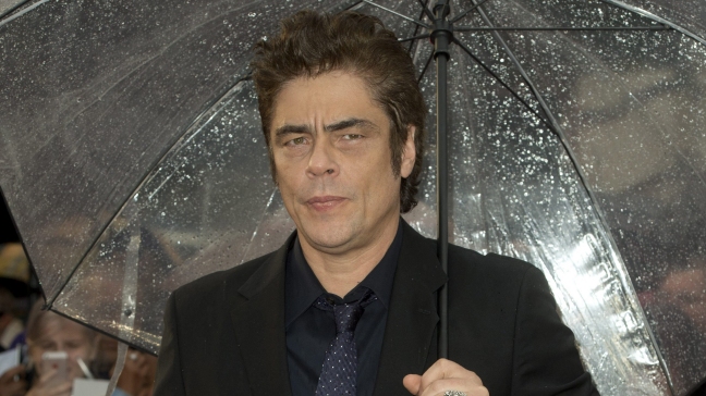Benicio Del Toro: 
