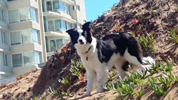 Imagen foto_00000001