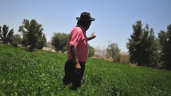 INE: Desempleo del trimestre junio-agosto bajó a 6,5 por ciento
