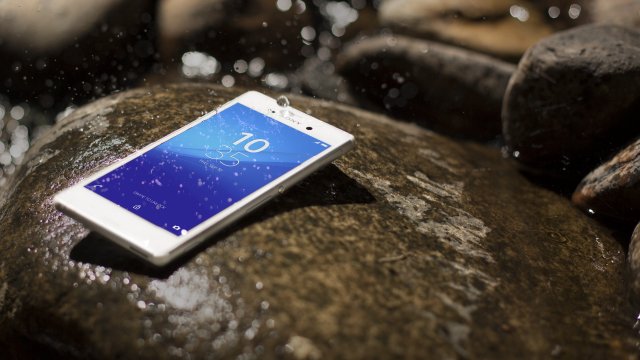 Imagen foto_00000015