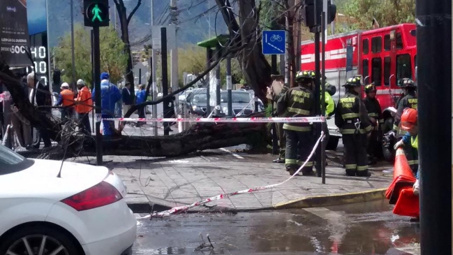 Falleció mujer que fue aplastada por un árbol en La Reina