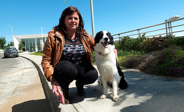 Imagen foto_00000016