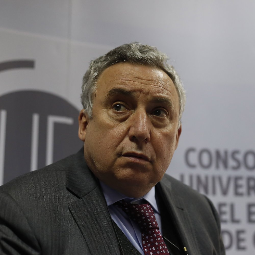 Vivaldi: La gratuidad no contempla recursos sacados 