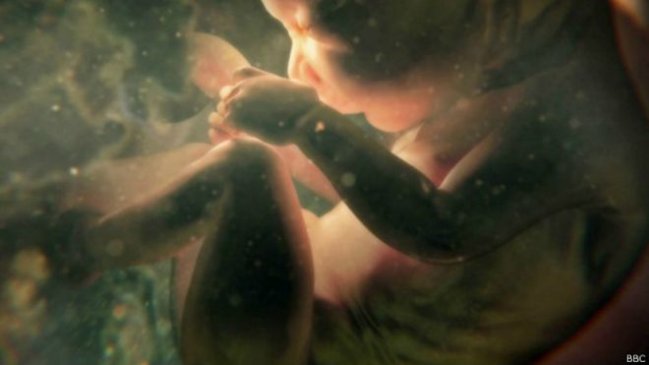 Nueve cosas que te hicieron tú antes de nacer