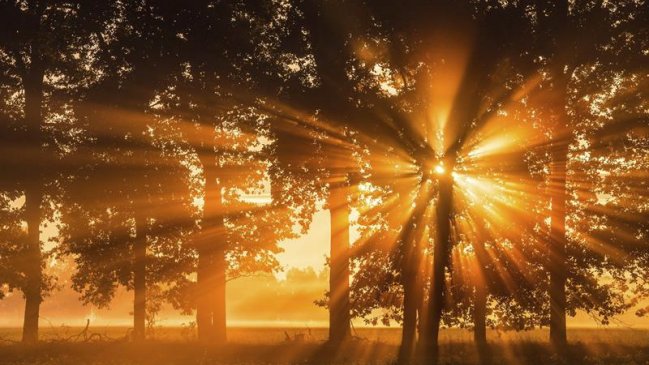 ¿Cuál es el secreto de un amanecer perfecto?