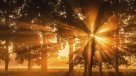 ¿Cuál es el secreto de un amanecer perfecto?