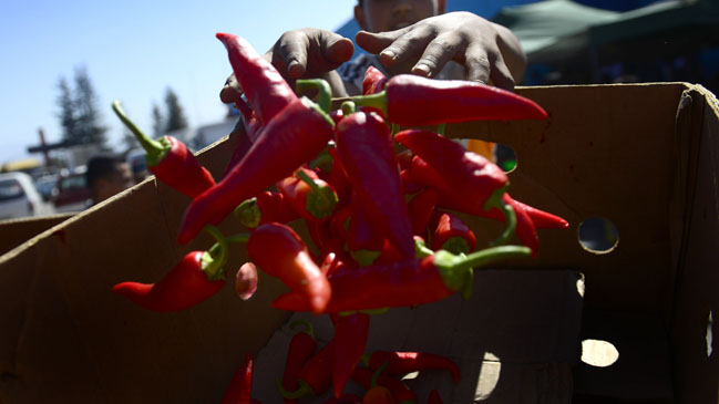 BBC Mundo: El ají picante, ¿bueno o malo para la salud?