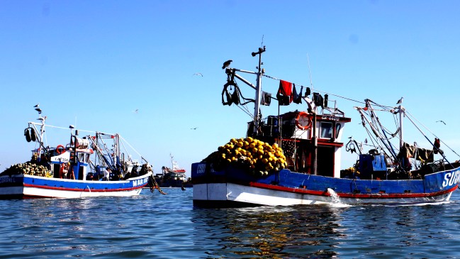 Tribunal decretó orden alejamiento contra pescadores que atacaron oficinas de Sernapesca