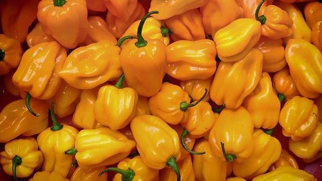 Imagen foto_00000015