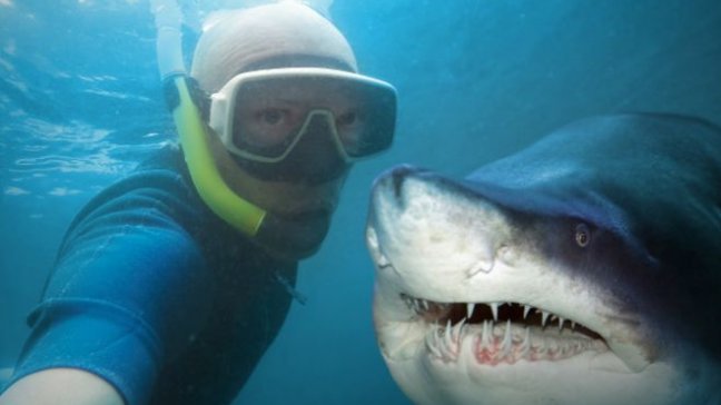 Las formas más absurdas de morir por hacerse una selfie en situaciones extremas
