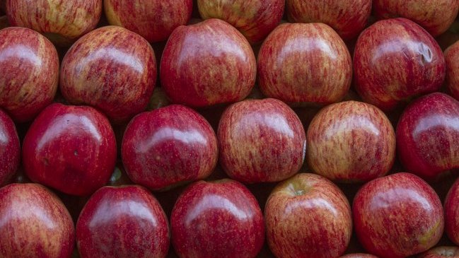 Ministro de Agricultura destacó importancia del TPP para la fruta chilena