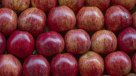 Ministro de Agricultura destacó importancia del TPP para la fruta chilena