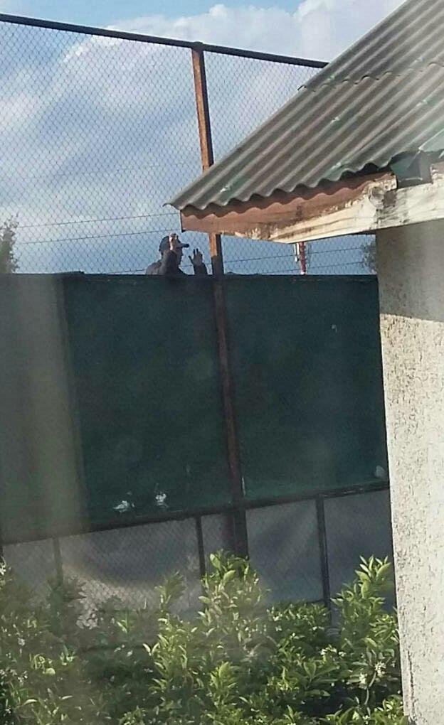 Imagen foto_00000015