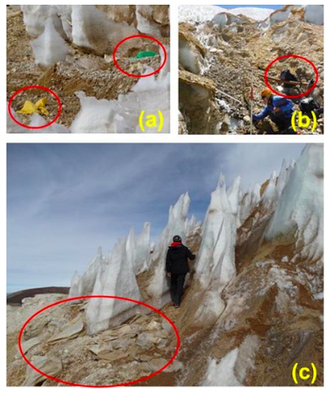 Imagen foto_00000003