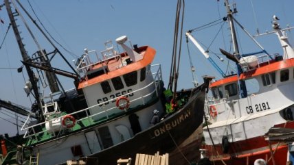 Comienza retiro de embarcaciones tras terremoto en Coquimbo