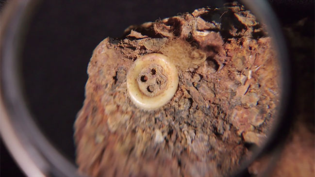 Anuncian funciones gratuitas de 