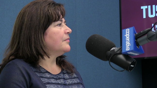 Junji: Un 38 por ciento de jardines infantiles están sin atención