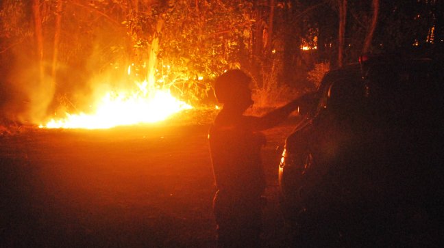 Policía aún no identifica a responsables de la quema de camiones en La Araucanía