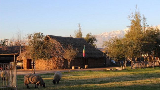 En la comuna de El Bosque se rescatará el Trafkintu, una antigua ceremonia mapuche