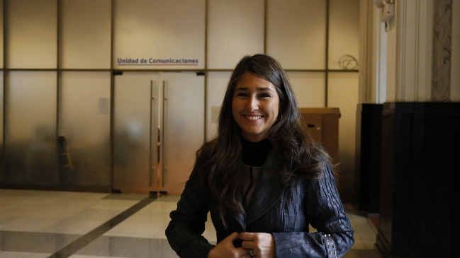 UDI fustigó campaña informativa: El Gobierno no entiende nada de seguridad ciudadana