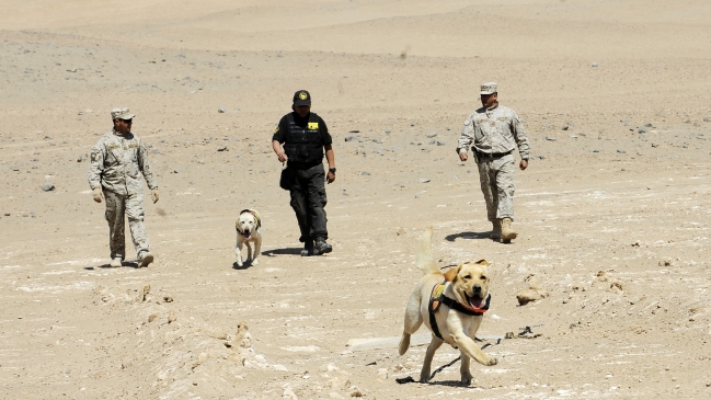 Alrededor de 400 personas desaparecen cada año en Chile, según la PDI