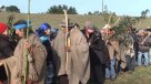 Cintas sobre recuperación de terrenos mapuche se exhibirán gratis