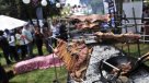 Asociación Chilena de la Carne: OMS genera alarma innecesaria