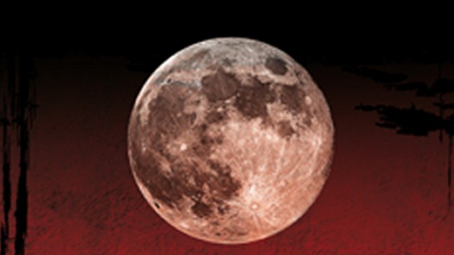 Lucía Guerra y su nueva novela: Los asesinos en serie son siempre un misterio