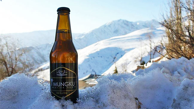 Conoce la primera cerveza chilena sin gluten