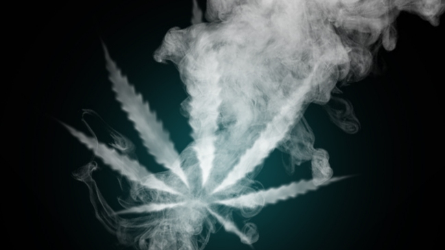 Corte Suprema absolvió a condenada por cultivo de marihuana en el Valle del Elqui