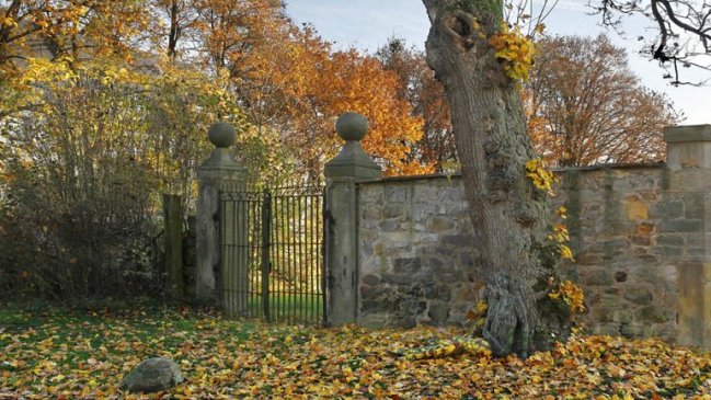 Curiosa fotografía de mujer desnuda se viralizó en redes sociales