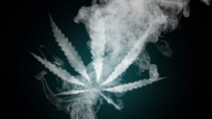  Festival jamaicano elegirá a los mejores cultivadores de marihuana  