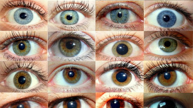 ¿Cómo es tomar LSD? Conoce el testimonio de un experto