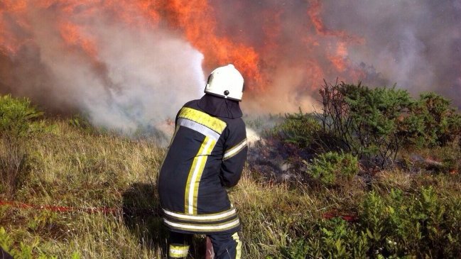 Onemi mantiene alerta roja por incendio en San Felipe