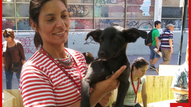 Fundación animalista Edra está a punto de cerrar sus puertas por falta de recursos