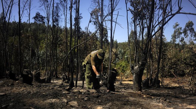 Soldador enfrenta nuevo juicio por incendio forestal en Rodalillo