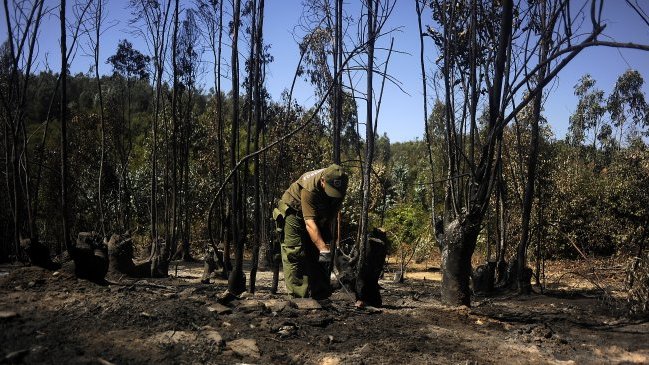 Soldador enfrenta nuevo juicio por incendio forestal en Rodalillo
