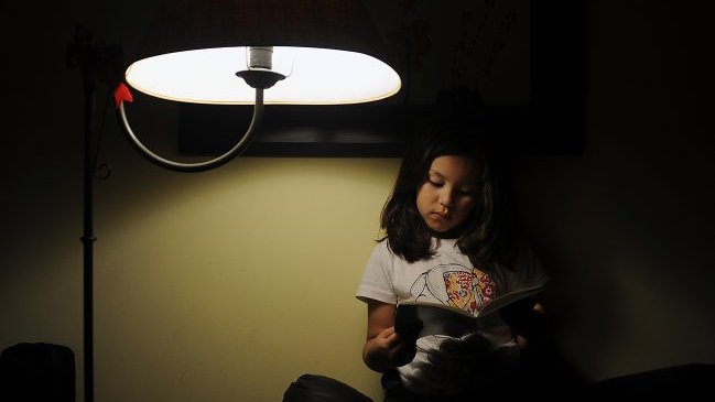 CNE prevé que Chile superará sus metas de energía renovable a 2025