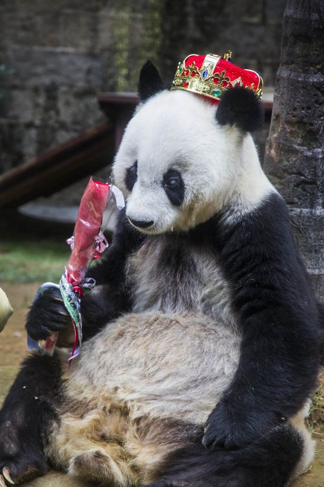 Imagen foto_00000015