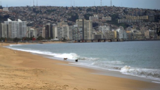 Argentino fue apuñalado en playa de Viña del Mar
