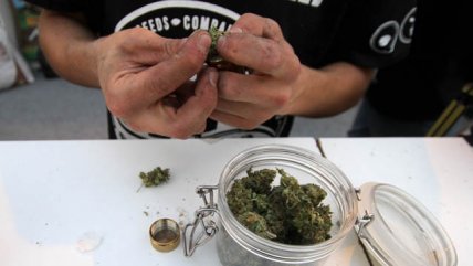   Las postales que dejó la última jornada de Expoweed 